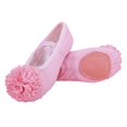 thumbnail image 1 of jianru Ballet Shoes for Girls Elastic Straps Non Slip Soft Sole Floral Canvas Professional Dance Shoes for Toddler Kids, 1 of 8
