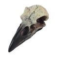 thumbnail image 1 of jicheng Halloween Raven Skull Decor Gothic Necklace Decor for Tabletop Party Holiday 40mmx18mmx17mm, 1 of 9