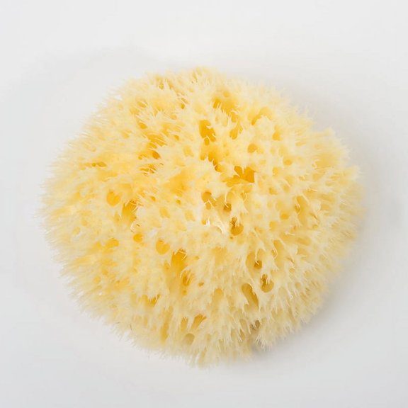 jileijar Natural Super Soft Ocean Sea Sponge Bath Body Shower Spa Loofah 3"-3.5"-AU Y6J5