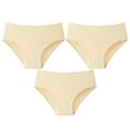 thumbnail image 1 of jjayotai Womens Underpants Clearance 3PC Women Everyday Conservative Ventilate Middle Waist Stripe Underwear Panties, 1 of 3