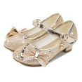 thumbnail image 1 of jobturf Girls Dress Shoes Mary Janes Flower Girls Shoes Cute Glitter Princess Shoes Sequin Low Heels for School Wedding Party, 1 of 6