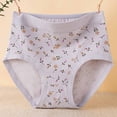 thumbnail image 1 of jobturf Women Underwear Floral Printed High Waisted Soft Briefs Full Coverage Comfort Breathable Seamless Panties, 1 of 7