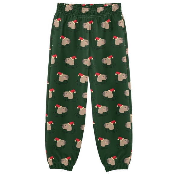 joogoo Capybara Head Pattern Boys' Sweatpants Jogger Pants 3T