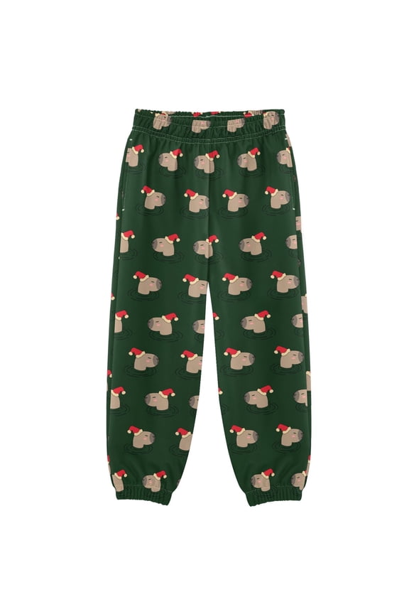 Capybara Head Pattern Boys' Sweatpants Jogger Pants 9-10Y
