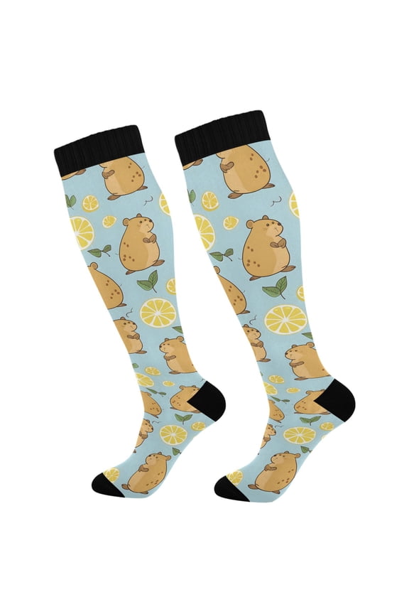 Cute Capybara Lemon Socks Women Men Knee High Sock