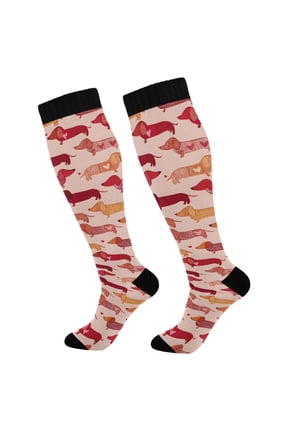 Cute Dachshund Dogs Socks Women Men Knee High Sock