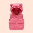 thumbnail image 1 of jsaierl Boys Girls Puffer Down Vest Toddler Kids Hooded Zip Sleeveless Jacket Winter Coat, 1 of 5