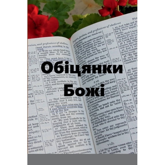 Обіцянки Бо&#107, (Paperback)