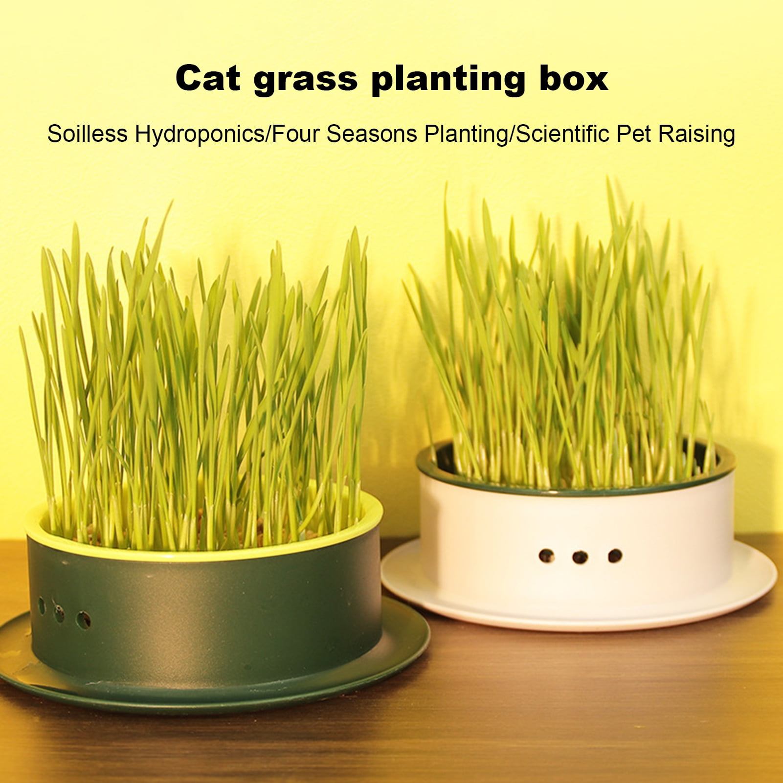 kaioher Grass Planting Box Reusable Hydroponic Cat Grass Planting Box