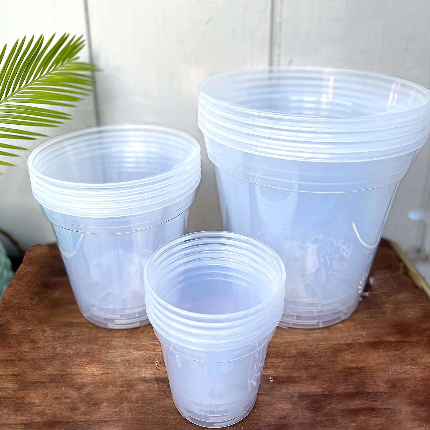 karenplantsplants™ 4", 6", 8" Clear Round Plastic Nursery Pots Variety