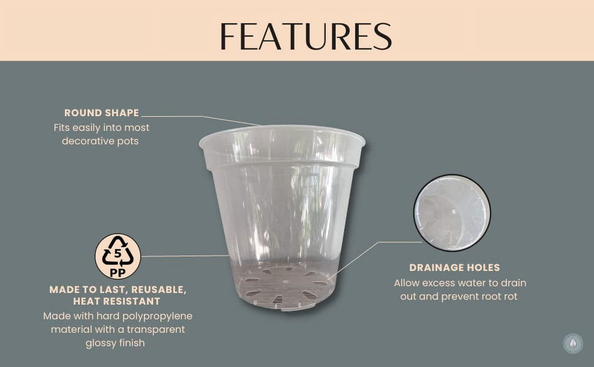 karenplantsplants™ 6" Clear Plastic Nursery Pot (Clear 10 Pack