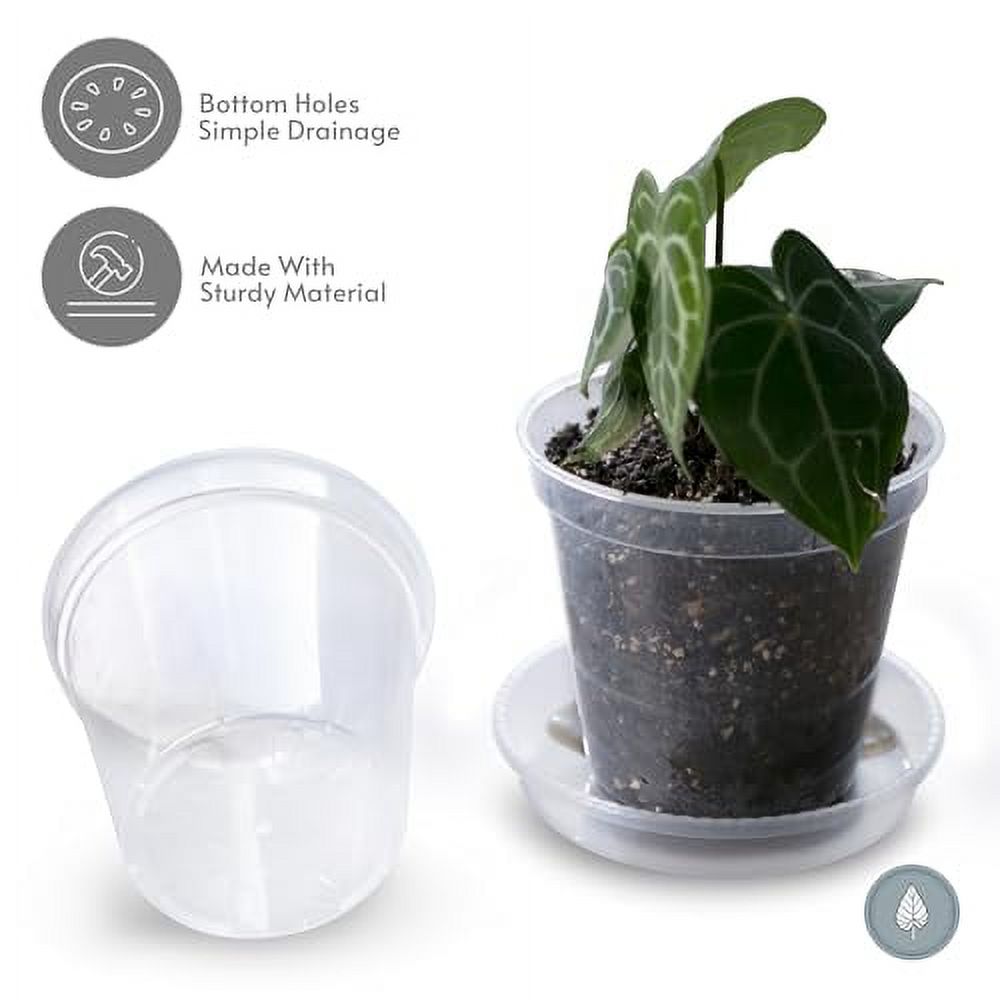 karenplantsplants™ 8" Clear Plastic Nursery Pot with Trays (Clear 10