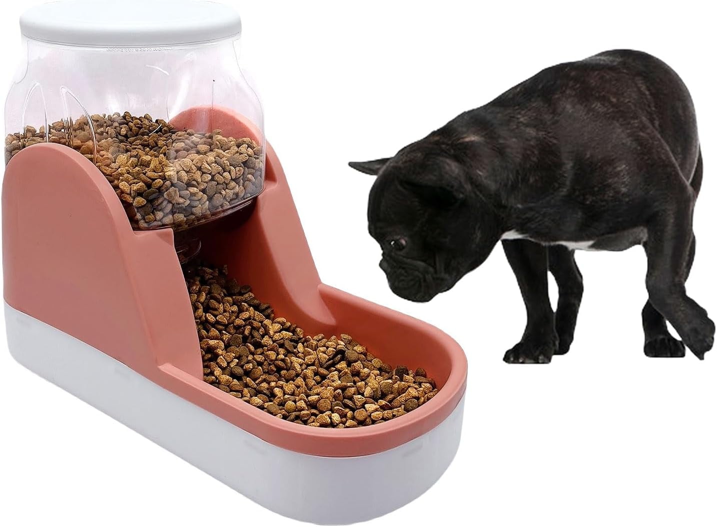 5 diameter cat food bowls Stainless Steel Cat Bowls | Made in USA