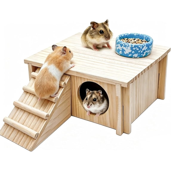 Kathson Wooden Hamster Hideout Gerbil House with Climbing Ladder and ...