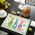 thumbnail image 1 of kayannuo 3 Pcs Vintage Easter Table Mats - Waterproof PVC Placemats with Bunny/Chick Patterns (18x12 Inch Wipe-Clean), 1 of 6