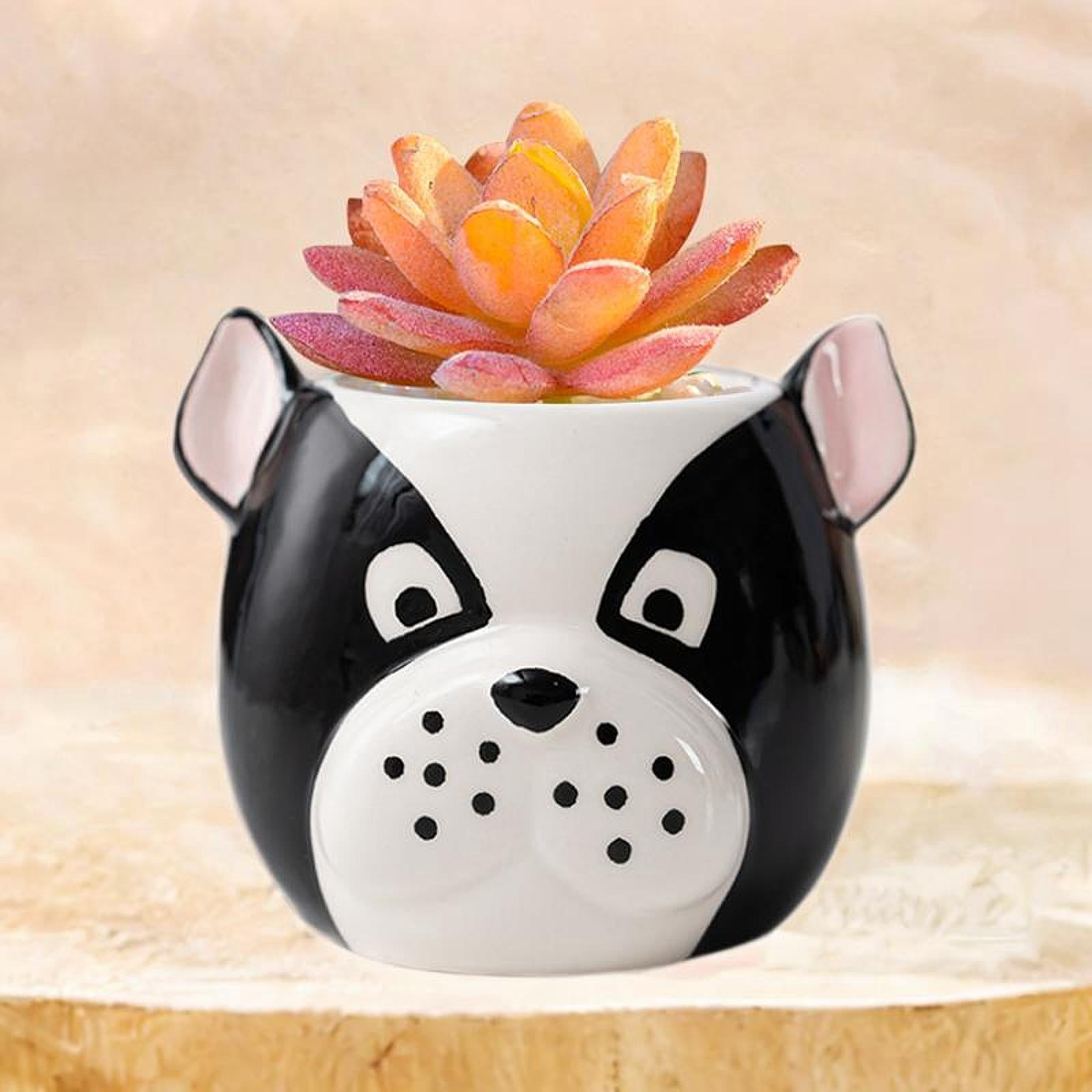 Puppy Wall Decor Shelf with Ceramic Pot (5x7x11)