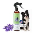 thumbnail image 1 of kin+kind Natural Flea+Tick Coat Spray for Dog, Lavender, Vet-Formulated, 12 fl oz, 1 of 10