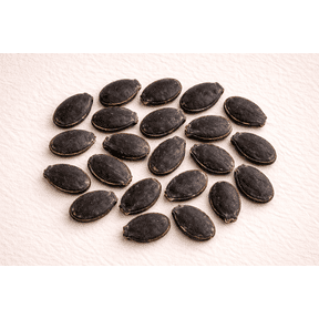 Loofah Seeds for Patio & Garden