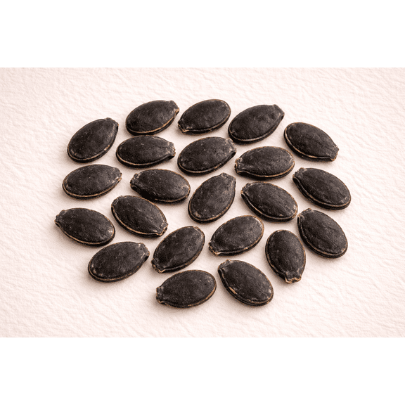 kitchenseeds (20) Asian Vegetable Edible Luffa Seeds , Long Smooth Sponge Gourd, Muop Huong