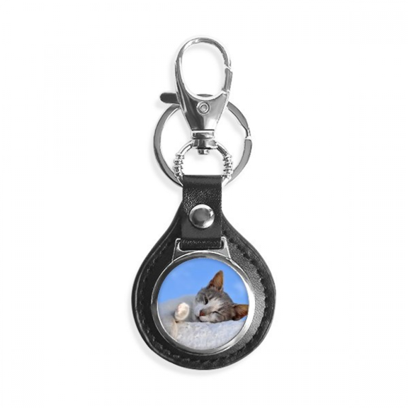 kitty cat pet relax sleep animal adorable key link chain keyholder finder hook metal