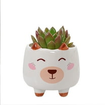 kjfeif Unique Design Animal Pot Ceramic Succulent Plant Pot , Cactus Potted Planting Bonsai Pots Set , Boho Flower Plant Pots for Indoor and Outdoor Gardening