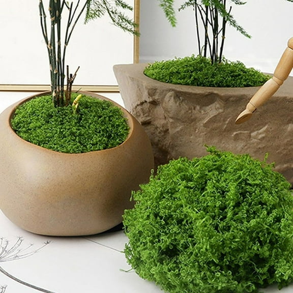 kkbbma under $5 Fake Moss for Potted Plants,Green Moss for Crafts Artificial Floral Moss for Planters DIY Table Centerpieces Faux Moss Filler for Indoor Outdoor Fairy Gardening Decor