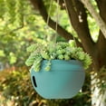 thumbnail image 1 of kkbbma under $5 Self Watering Hanging Planters, Strong Plastic Hanging Flower Pots, Decorative Indoor Outdoor Hanging Basket, Garden House Porch Yard Detachable Base Suspended Plant Pots, 1 of 6