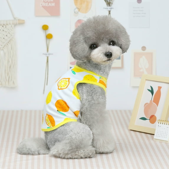 kladzum Dog Clothes Pet Dog Summer New Clothing Cute Thin Five-Color Fruit vests Casual Unisex Dog Shirt