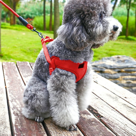 kladzum Dog Harness and Leash Set, Soft Pet Lead with Sandwich Mesh Chest and Back Harnesse for Small and Medium Sized Dogs Pet Supplies