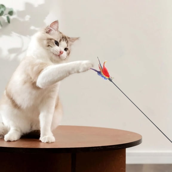kladzum Interactive Cats Toys for Indoor Cats Interactive Long Pole Colorful Feathers with Bells Teaser Toys Suitable for Playing and Pursuing with Kittens