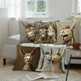 thumbnail image 1 of kladzum Short Lint Pillow Covers 18x18 Inches, Cute Two Donkeys Embroidery Decorative Throw Pillow Covers Soft Cozy Sofa Pillow Case Home Room Decor Pillowcase for Living Room, Bedroom, 1 of 7