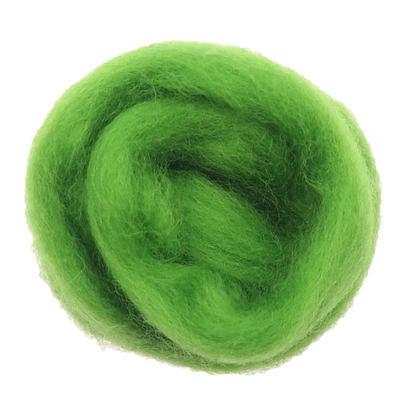 koolsoo 10g Wool Roving, Felting Wool Tops, Felt Fer Crafts Needle Felting, crafts Material, Green