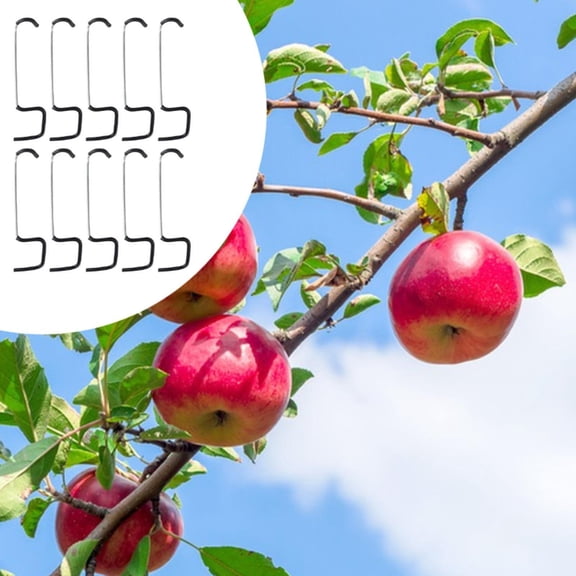 koolsoo 12Pcs Tree Branch Puller Branch Bending Tool Stereotyped for Shaping Fruit Tree Branches Versatile Spreader Puller Convenient 26 CM