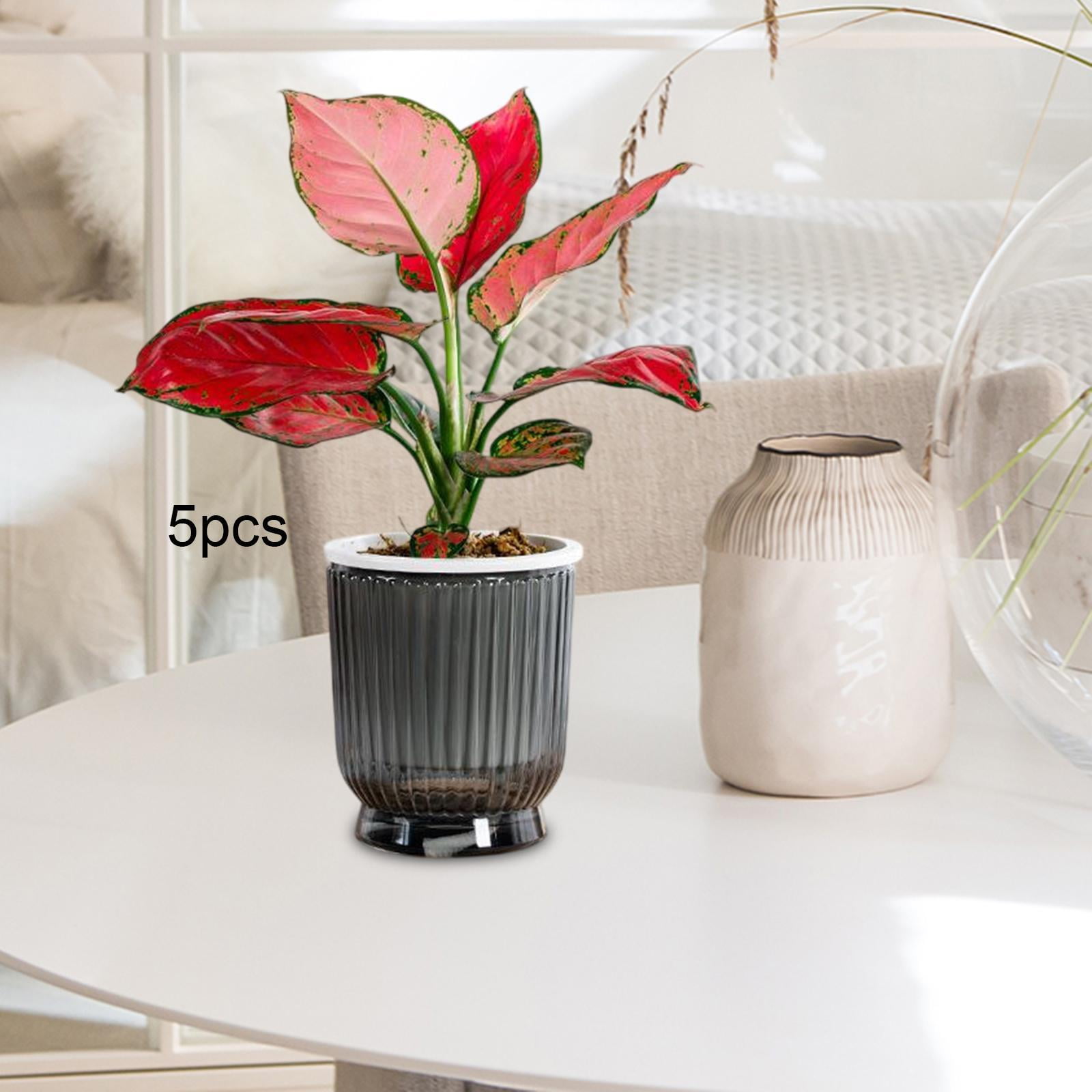 koolsoo 5 Pieces Self Watering Plant Pots Flower Pots Modern Home Decor Gardening Planters Indoor Outdoor Plants for Restaurant Patio Clear Gray 10.8x12cm