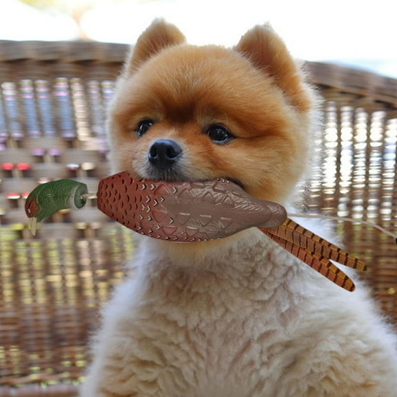 koolsoo Dog Toy Hunting Duck Recognition Training Simulation Realistic Dog Training Tool Hunting Retriever for Pond Landscape