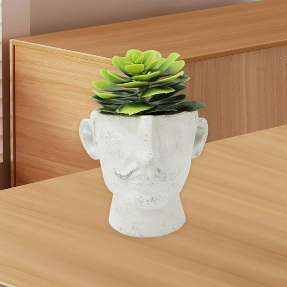 koolsoo Face Flower Pot Gift Creative Simple Flower Planter for Patio Indoor Outdoor
