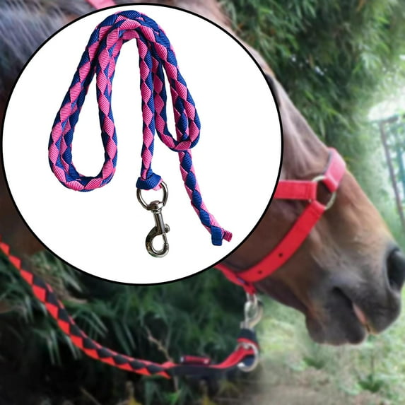 koolsoo Horse Lead Rope Braided Horse Rope Swivel Buckle Durable Horse Leading Rope with Snap Hook Equestrian Equipment 2.5meters Blue Pink