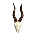 thumbnail image 1 of kowaku Faux Animal Skull Wall Sculpture Resin Rustic Animal Head Sculpture Wall Hanging Animal Faux Skull for Fireplace Bedroom Home Sheep, 1 of 9