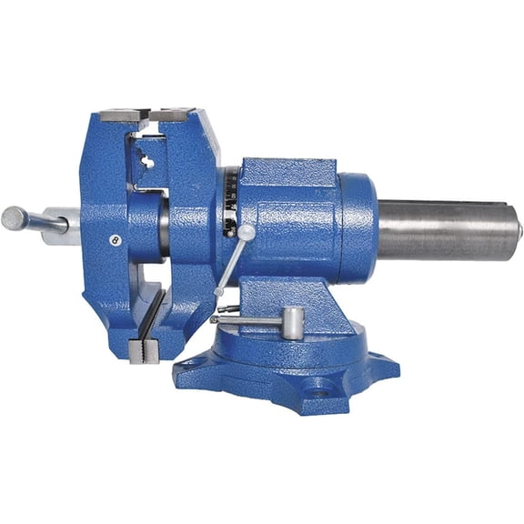 labwork 5-Inch Multi Purpose Heavy Vise with Double Swivel Rotating, Vise with Anvil Stand for Clamping Fixing Equipment Home or Industrial Use