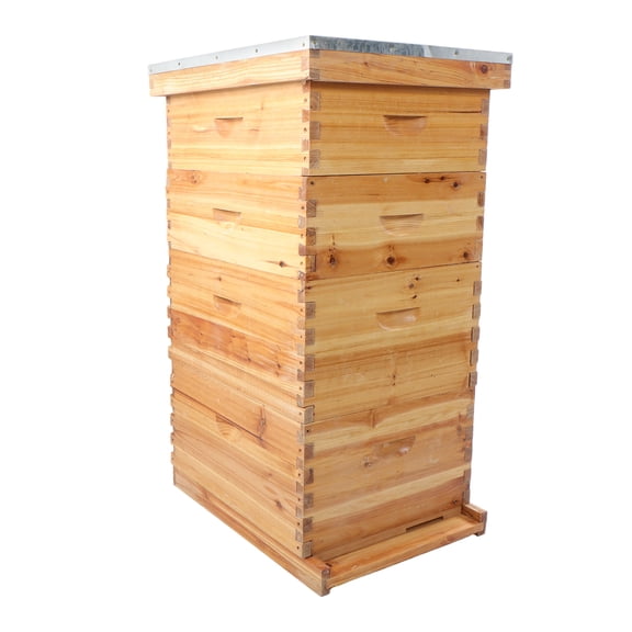 labwork 8-Frame Langstroth Beehive, Includes 2 Deep Hive Bee Box and 2 Bee Hive Super with Beehive Frames and Foundation