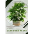 thumbnail image 1 of lady palm plant : Plant Guide (Paperback), 1 of 1