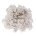 thumbnail image 1 of landege Preserved Fresh Moss DIY Floral Material Accessory Beautiful Decoration for Wedding Party Garden 50g (White), 1 of 10