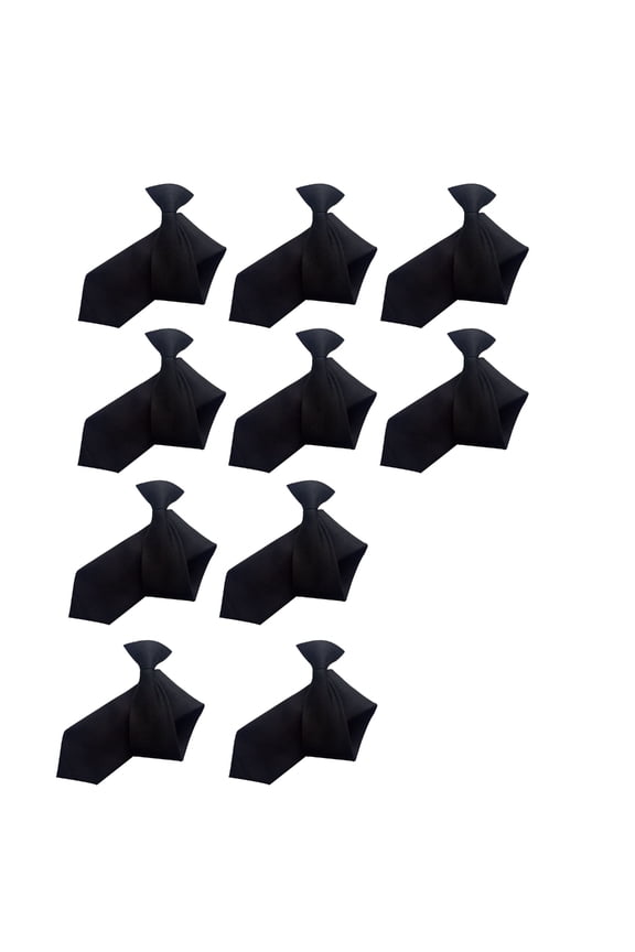10PCS Clip On Necktie For Kids With Secure Closure Quick Wear Clip Design Polyester Tie For Office School Event