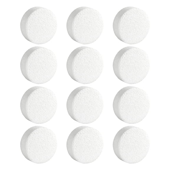 lanema 12Pcs White Polystyrene Foam Circles 3Inch Foam Disks For Kid Art Painting