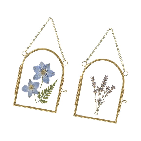 lanema 2 Pack Double Glass Frame With Metal Chain For Dried Flower Plant And Artwork Display Wall Hanging Miniature Photo Frame