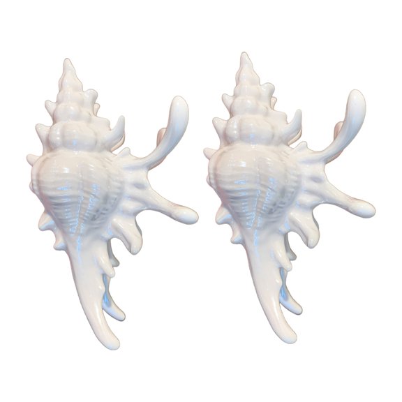 lanema 2PCS Acrylic Hair Claw Clip Marine Conch Shape Hair Styling Clip Hair Accessory