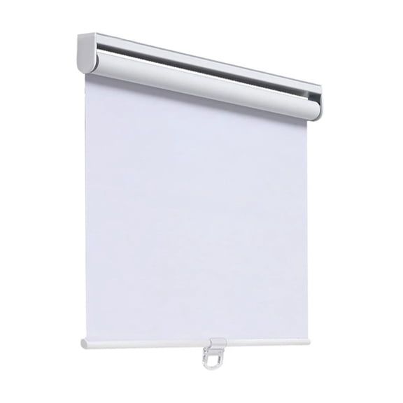 lanema Cordless Roller Shade Pull Down Shades Window Blind For Office And Home Theaters
