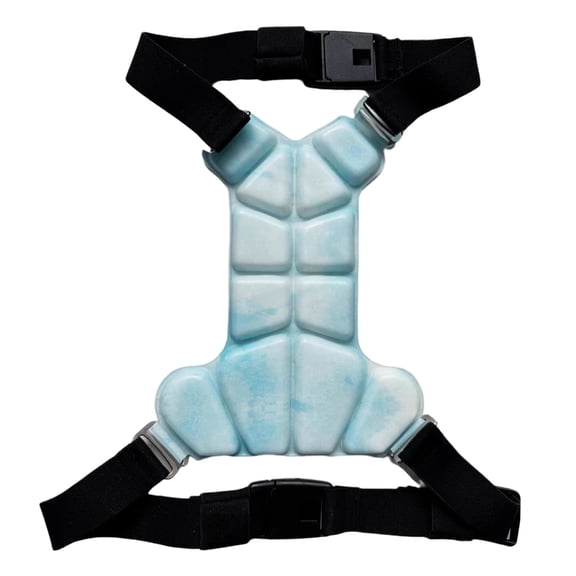 lanema Dog Cool Vest Indoor Outdoor Use Pcm Technology Sweatshirt Outfit Summer and Spring Walking Camping