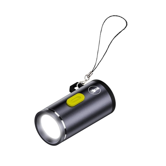 lanema Durability Type C Powered LED Light For Camping And Household Needs Travel Use