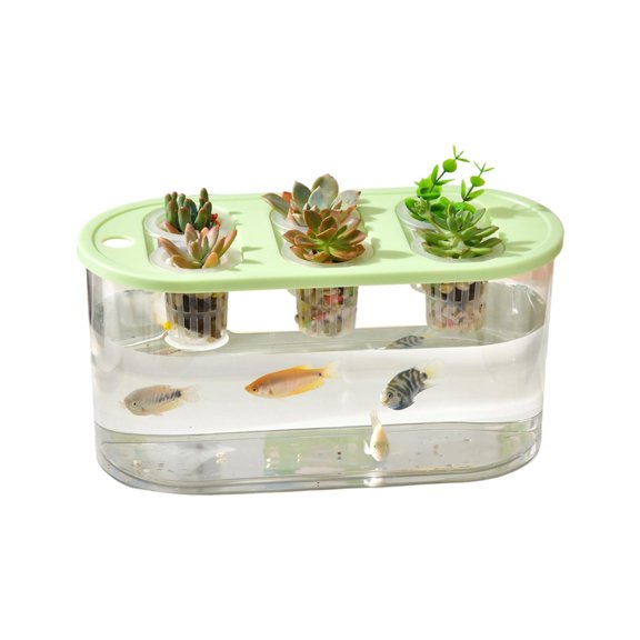 lanema Functional Clear Hydroponic Box Facilitating Plant Root Viewing Simple Upkeeps And Interior Decoration For Households